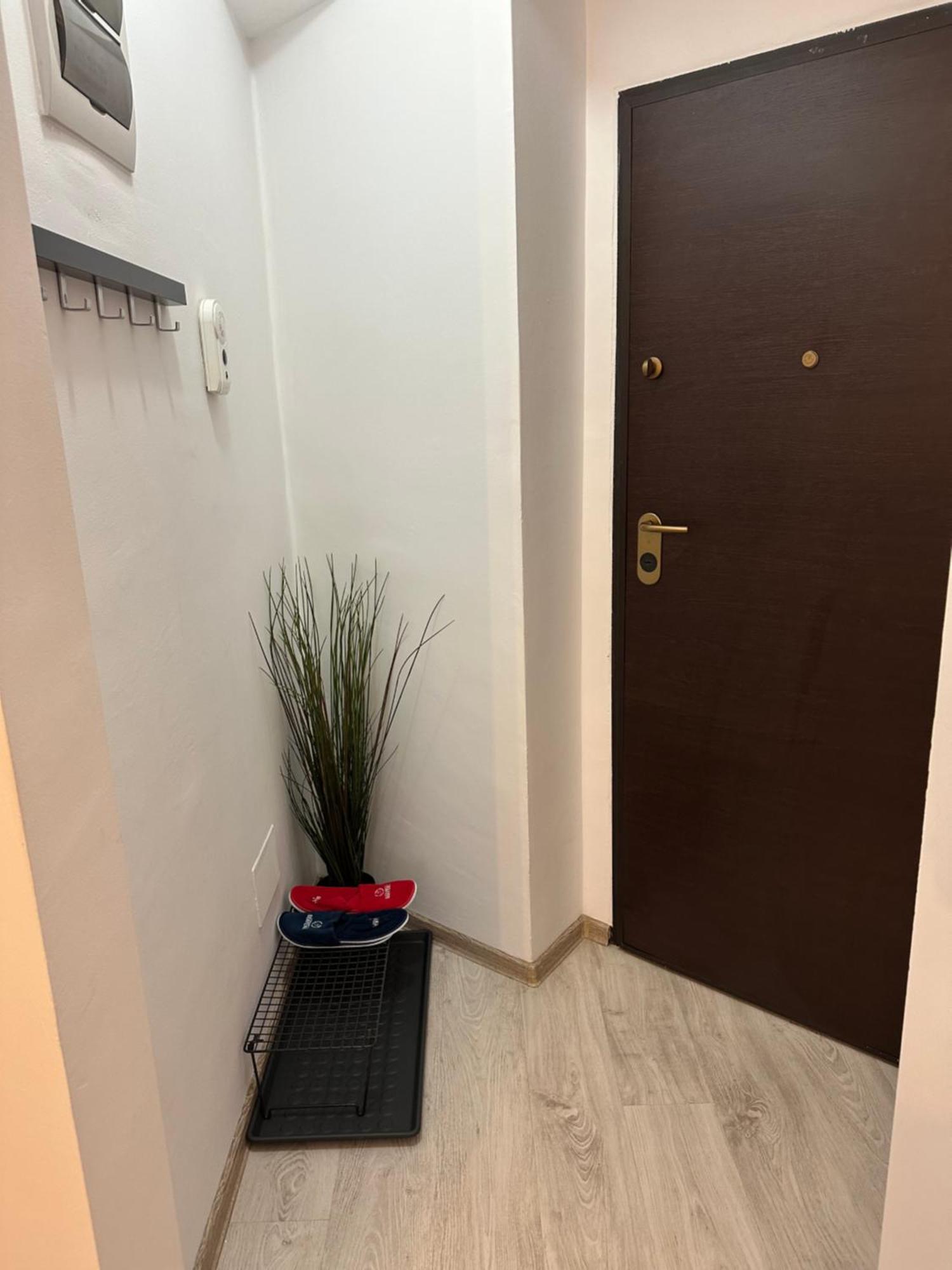 Central Studio Bucur บูคาเรสต์ ภายนอก รูปภาพ